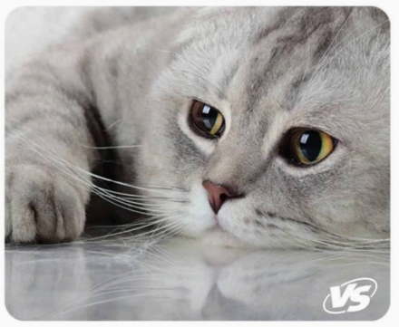  Perfeo Коврик для компьютерной мыши &quot;Cat&quot;, Рис.2 (350*300*3 мм), ткань+резиновое основание