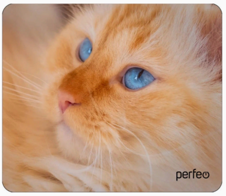  Perfeo Коврик для компьютерной мыши "Cat", Рис.23 (180*220*2 мм), ткань+резиновое основание