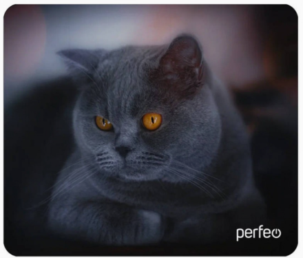  Perfeo Коврик для компьютерной мыши &quot;Cat&quot;, Рис.28 (180*220*2 мм), ткань+резиновое основание