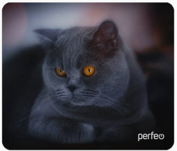 Perfeo Коврик для компьютерной мыши "Cat", Рис.28 (180*220*2 мм), ткань+резиновое основание