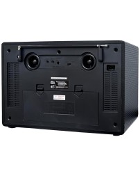 Портативный радиоприемник Ritmix RPR-102 карбон
