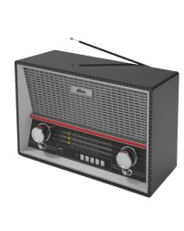 Портативный радиоприемник Ritmix RPR-102 карбон