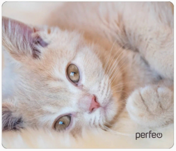 Perfeo Коврик для компьютерной мыши &quot;Cat&quot;, Рис.4 (350*300*3 мм), ткань+резиновое основание