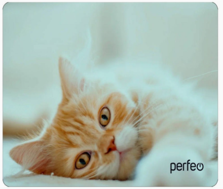  Perfeo Коврик для компьютерной мыши "Cat", Рис.8 (350*250*4 мм), ткань+резиновое основание