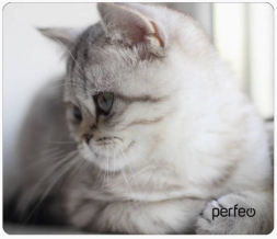 Perfeo Коврик для компьютерной мыши &quot;Cat&quot;, Рис.9 (340*280*4 мм), ткань+резиновое основание