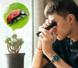 Монокулярный телескоп Xiaomi Celestron SCJJ-825 черный