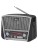  Портативный радиоприемник Ritmix RPR-065 черный