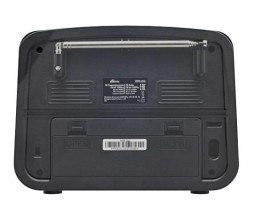 Портативный радиоприемник Ritmix RPR-050 золотой