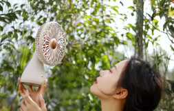 Вентилятор портативный Xiaomi Sothing Bridal Bouquet Fan DSHJ-S-2113 розовый