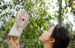 Вентилятор портативный Xiaomi Sothing Bridal Bouquet Fan DSHJ-S-2113 розовый