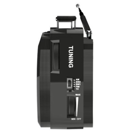  Портативный радиоприемник Ritmix RPR-190 черный