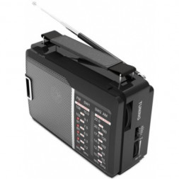 Портативный радиоприемник Ritmix RPR-190 черный