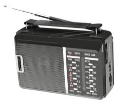 Портативный радиоприемник Ritmix RPR-190 черный