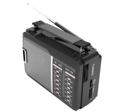  Портативный радиоприемник Ritmix RPR-190 черный