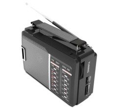 Портативный радиоприемник Ritmix RPR-190 черный