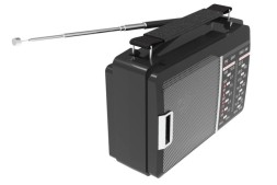 Портативный радиоприемник Ritmix RPR-190 черный