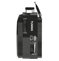 Портативный радиоприемник Ritmix RPR-190 черный