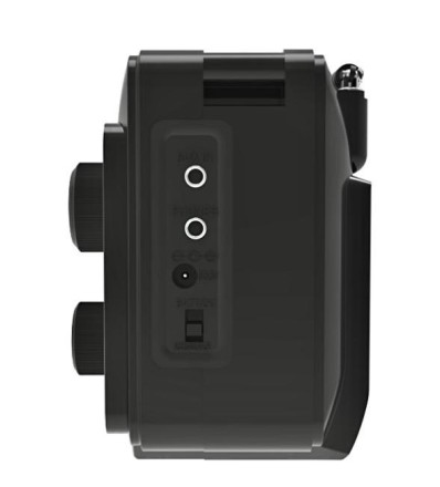  Портативный радиоприемник Ritmix RPR-171 черный