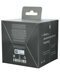 Умная колонка Яндекс Станция Лайт 2 серая