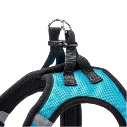 Шлея для собак Jordan &amp; Judy