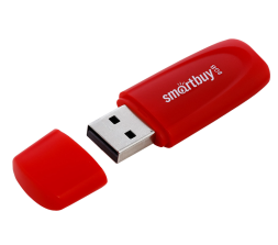 USB флеш накопитель Smartbuy 8GB Scout (SB008GB2SCR) красный