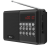  Портативный радиоприемник Ritmix RPR-001 черный