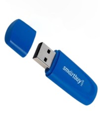 USB флеш накопитель Smartbuy 16GB Scout (SB016GB2SCB) синий