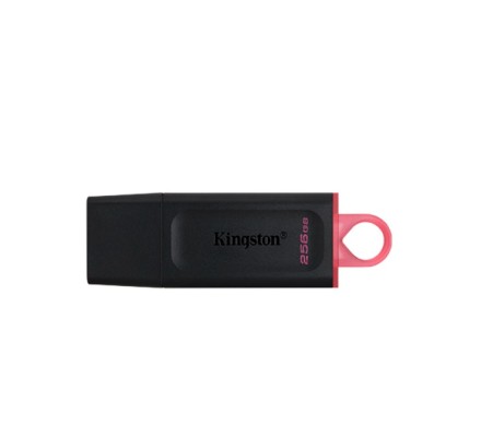  3.0/3.2 USB флеш накопитель Kingston DataTraveler Exodia 256GB (DTX/256GB) черный