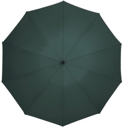 Зонт Zuodu Full Automatic Umbrella LED зеленый