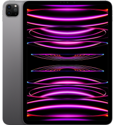 iPad Pro (2022) 11&quot; Wi-Fi 256 ГБ, «серый космос»
