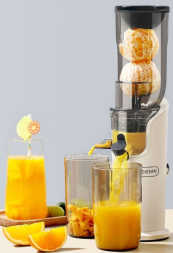 Соковыжималка Xiaomi Zhenmi (ZMGZ-J10)