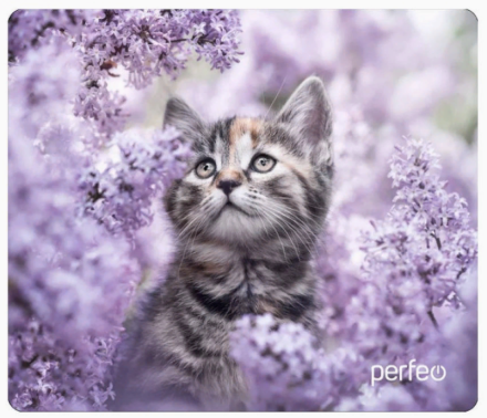 Perfeo Коврик для компьютерной мыши &quot;Cat&quot;, Рис.11 (340*280*4 мм), ткань+резиновое основание