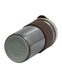 Термокружка Kiss Kiss Fish Rainbow 490ml коричневый-серебро