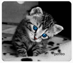 Perfeo Коврик для компьютерной мыши &quot;Cat&quot;, Рис.14 (240*200*2 мм), ткань+резиновое основание
