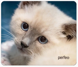 Perfeo Коврик для компьютерной мыши "Cat", Рис.18 (240*200*2 мм), ткань+резиновое основание